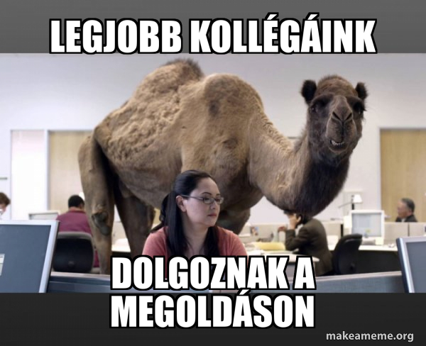Hump Day Camel meme