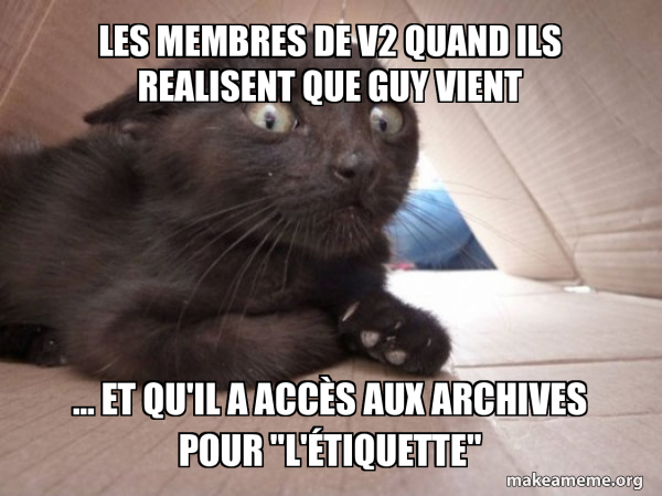 Schitzo Cat meme
