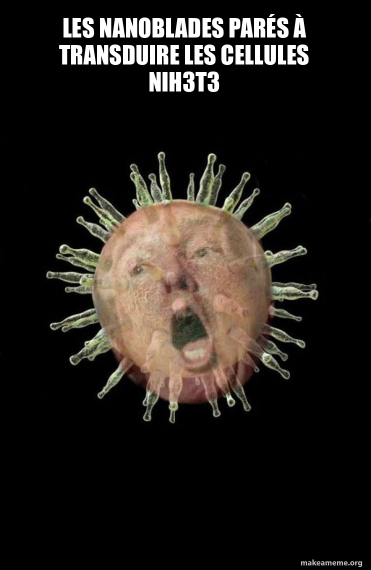 Trumpvirus TrumpPandemic meme