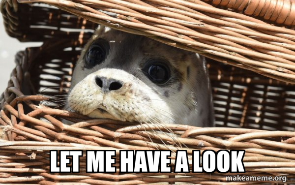 Impending Doom Seal meme