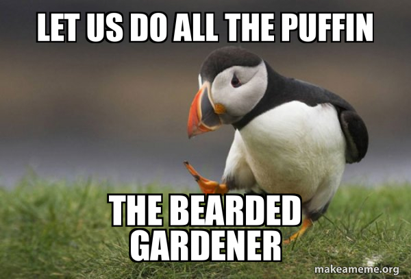 Unpopular Opinion Puffin meme