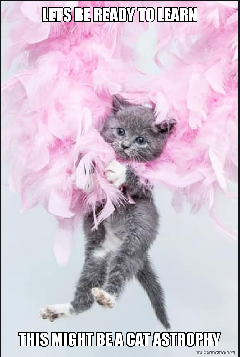 Lets Be Ready To Learn This Might Be A Cat Astrophy Make A Meme