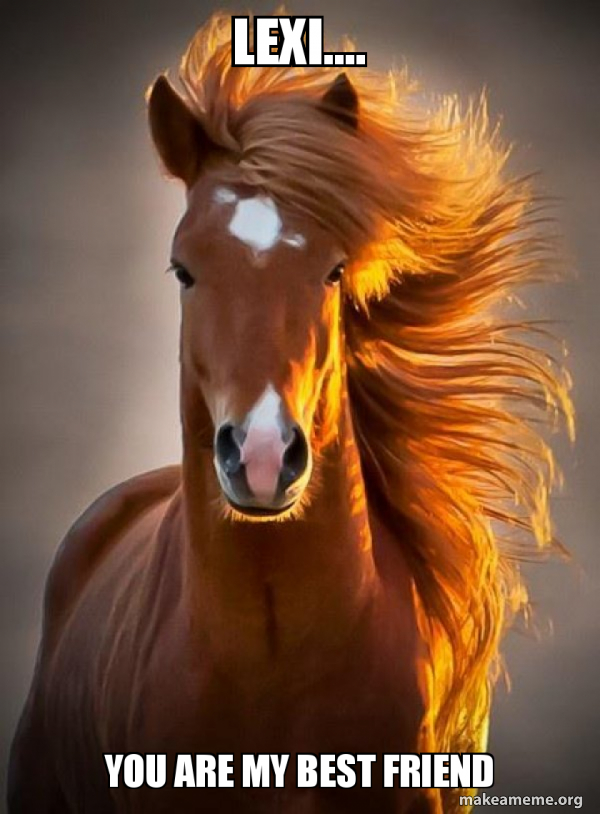 Ridiculously photogenic horse meme