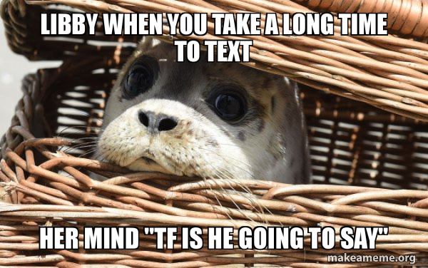 Impending Doom Seal meme