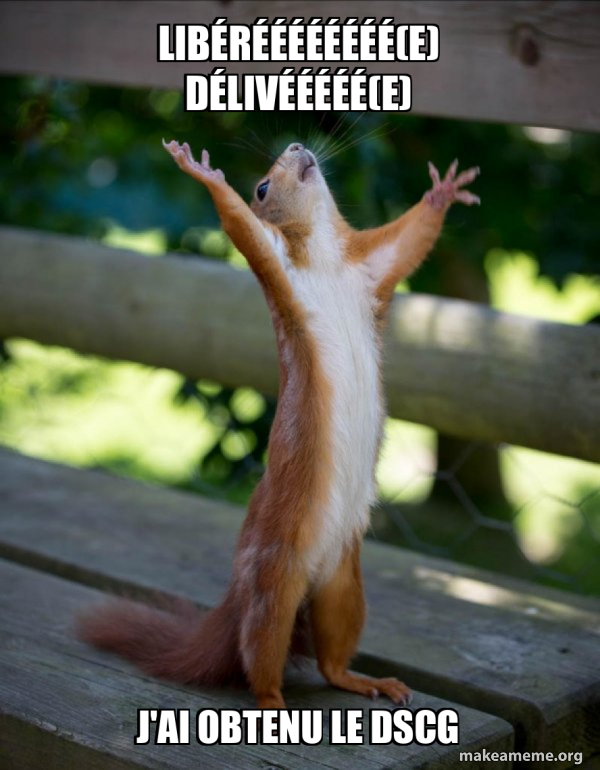 Libéréééééééé(e) Délivééééé(e) J'ai obtenu le DSCG - Happy Squirrel ...