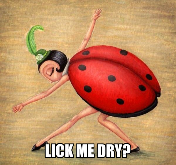 Lick me dry? Meme Generator