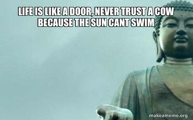 Life is like a door, never trust a cow because the sun cant swim Meme ...