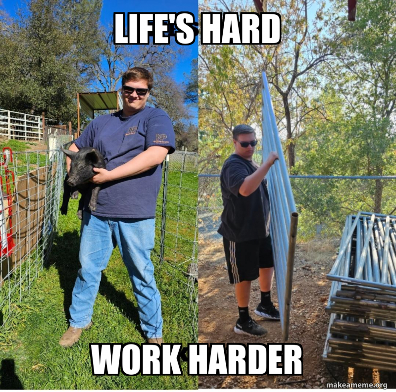 LIFE'S HARD WORK HARDER Meme Generator