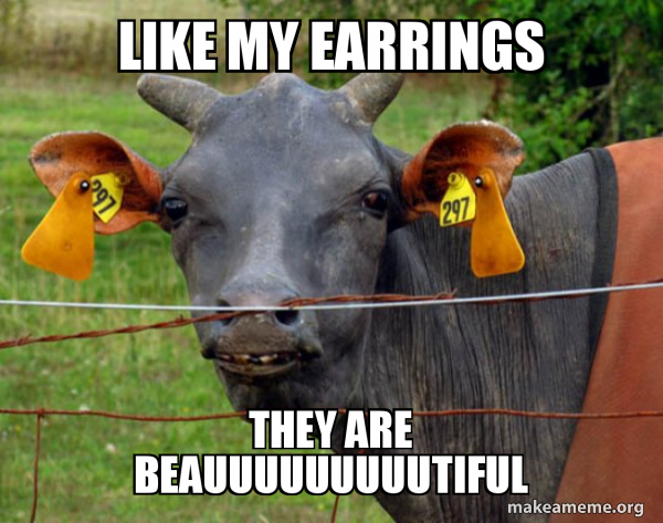 Hairless Cow meme