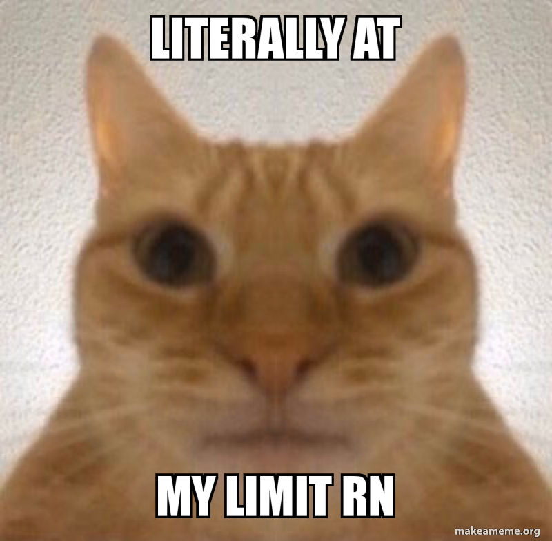 LITERALLY AT MY LIMIT RN Meme Generator
