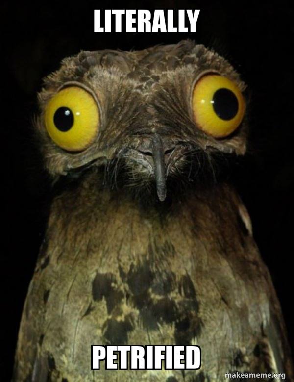 Weird Stuff I do Potoo meme