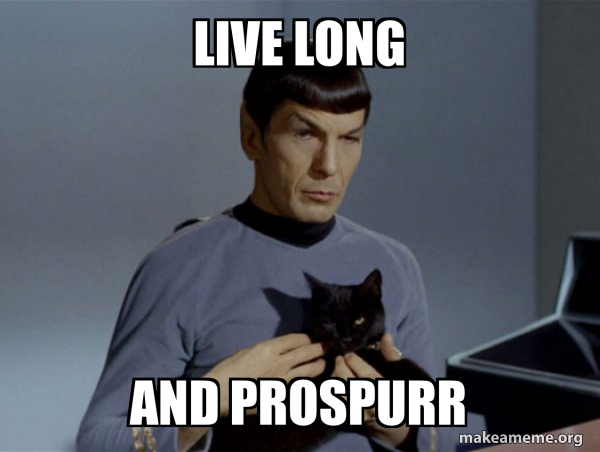 Spock and Cat Meme meme