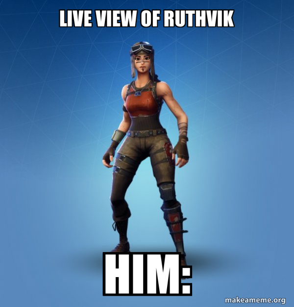 Renegade Raider Fortnite Skin meme