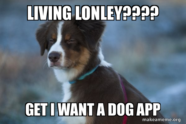 Unsure Dog meme