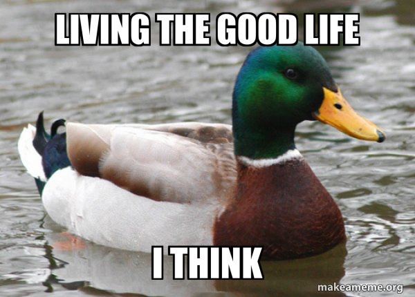 Actual Advice Mallard meme
