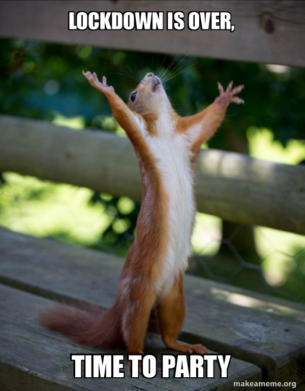 LOCKDOWN IS OVER, TIME TO PARTY - Happy Squirrel Meme Generator