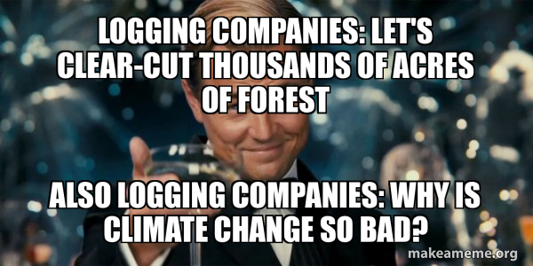 Logging companies: Let's clear-cut thousands of acres of forest Also ...