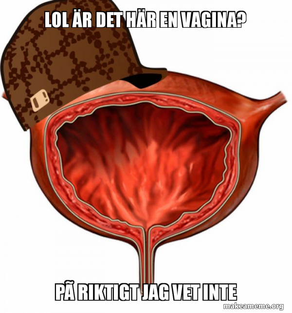 Scumbag Bladder meme