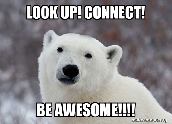 Popular Opinion Polar Bear meme