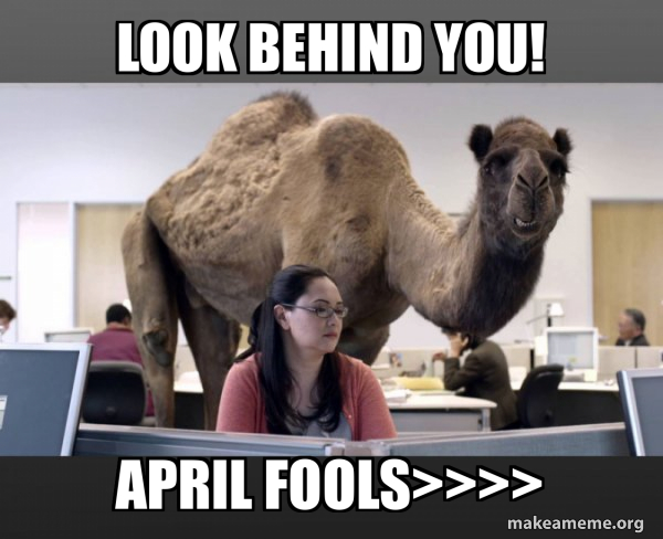 Hump Day Camel meme