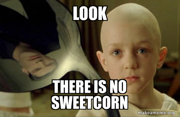 There is no Spoon meme