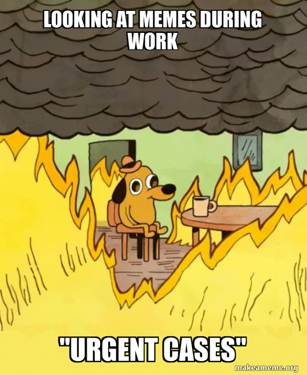Looking at Memes during work 