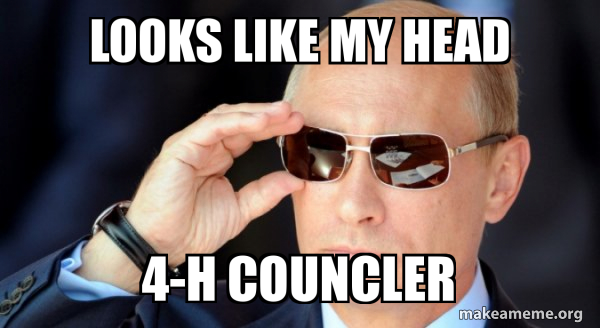 Vladamir Putin meme
