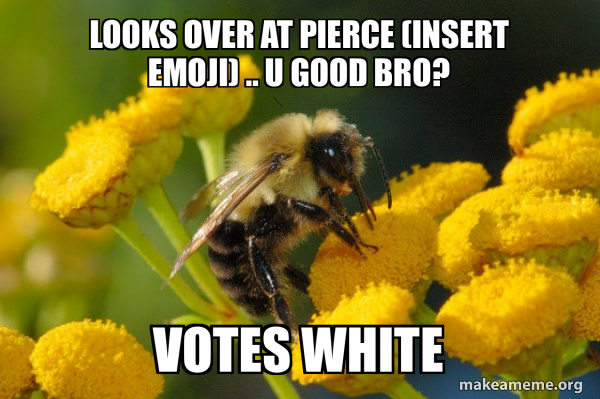 Good Guy Bee meme