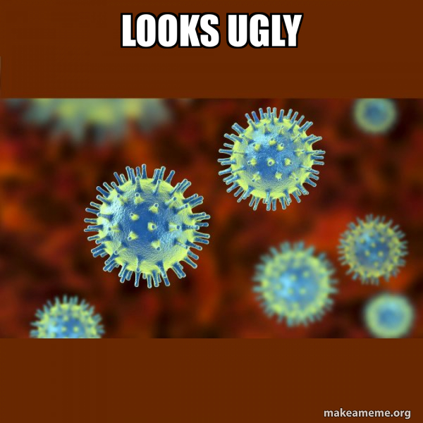 Coronavirus ( COVID-19 ) meme