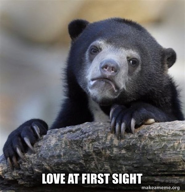 Love At First Sight Confession Bear Meme Generator love-at-first-sight-confession-bear-meme-generator