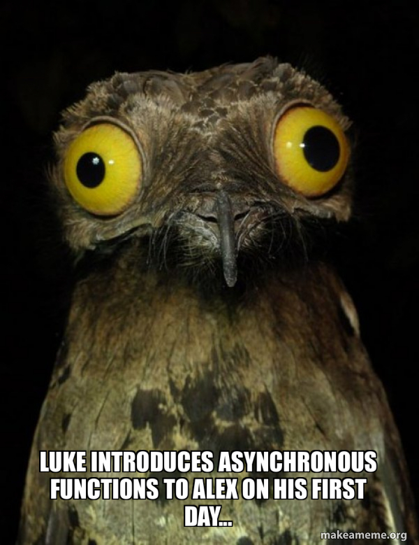 Luke introduces asynchronous functions to Alex on his first day ...