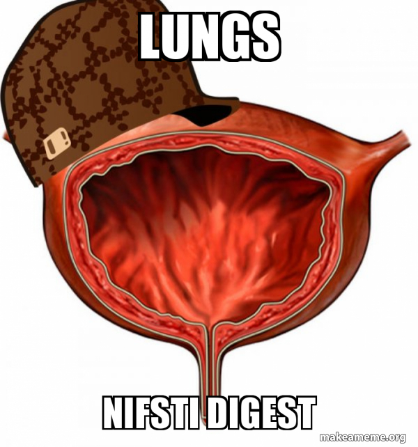 Scumbag Bladder meme