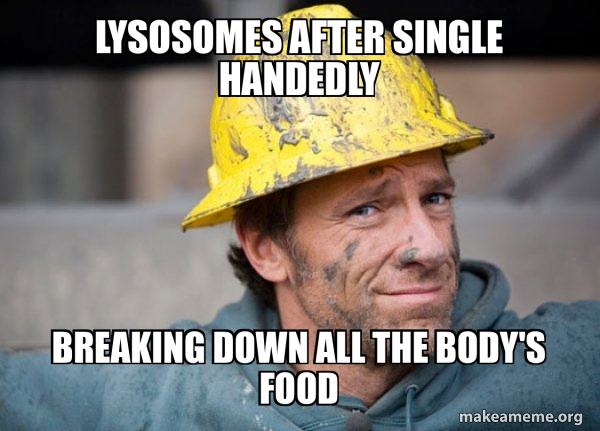 A Dirty Job meme