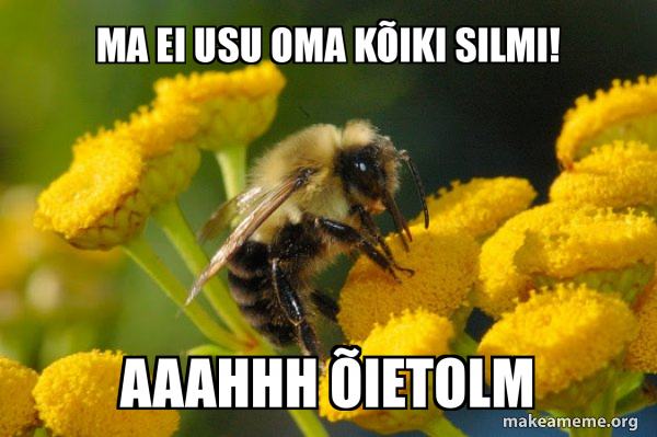 Good Guy Bee meme