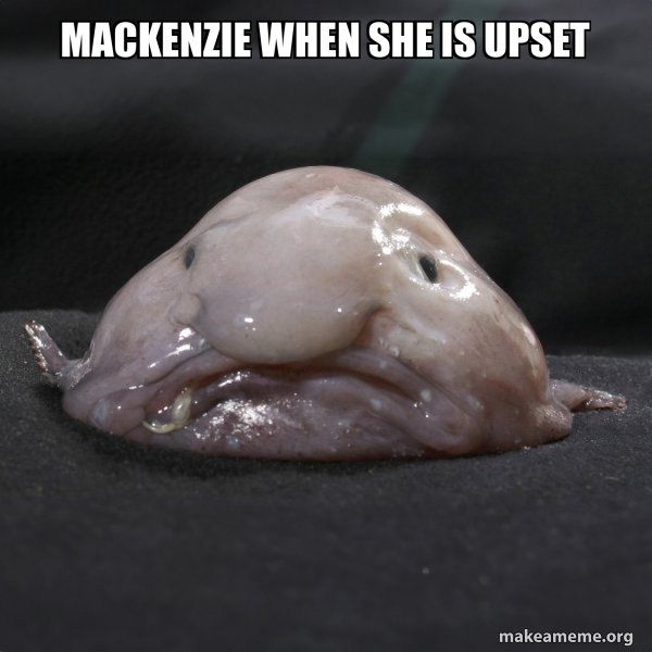 Blobfish meme