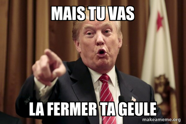Donald Trump Says meme