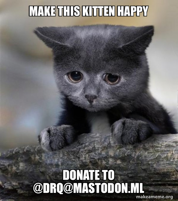 make this kitten happy donate to drqmastodon.ml Confession Cat Meme