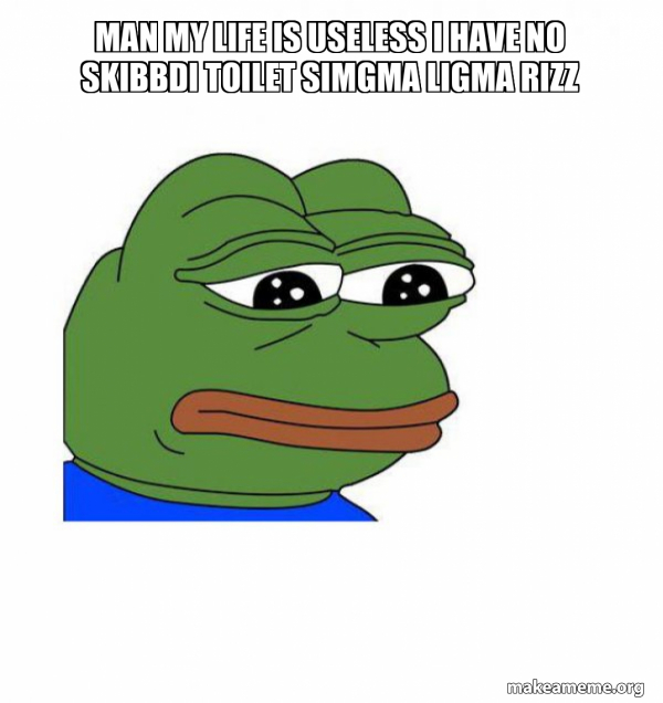 man my life is useless i have no skibbdi toilet simgma ligma rizz ...