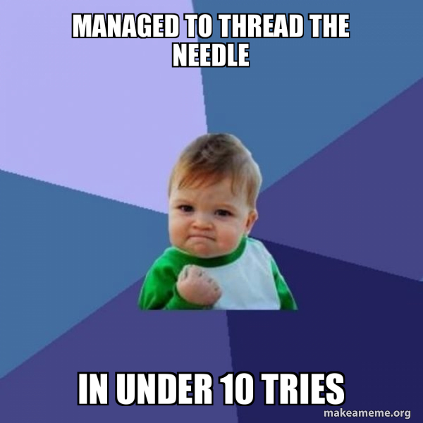 Managed to thread the needle in under 10 tries - Success Kid Meme Generator