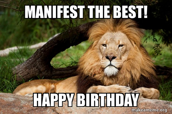Contemplative Lion meme