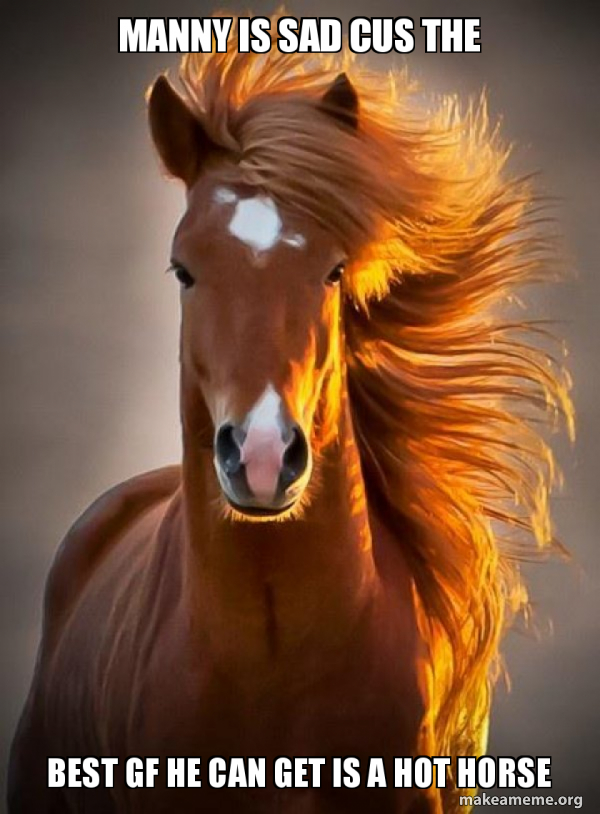 Ridiculously photogenic horse meme