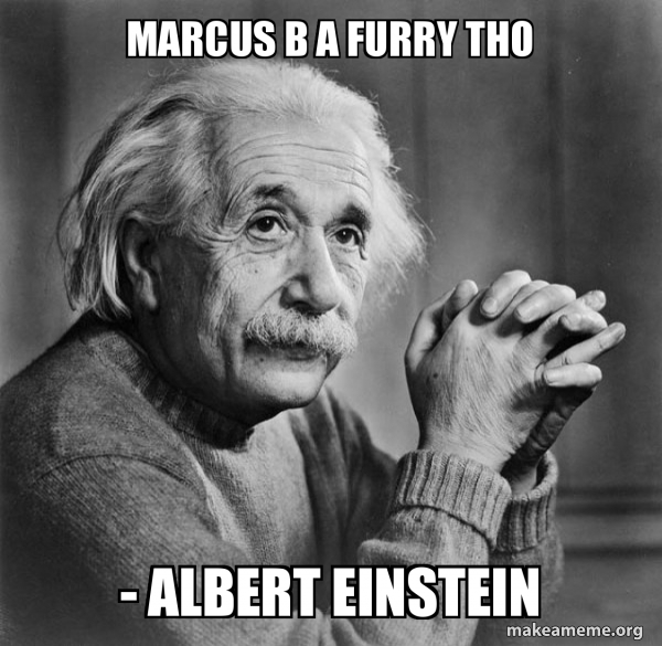 Serious Albert Einstein meme