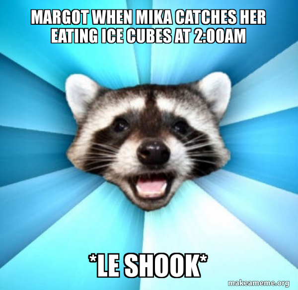 Lame Pun Coon meme
