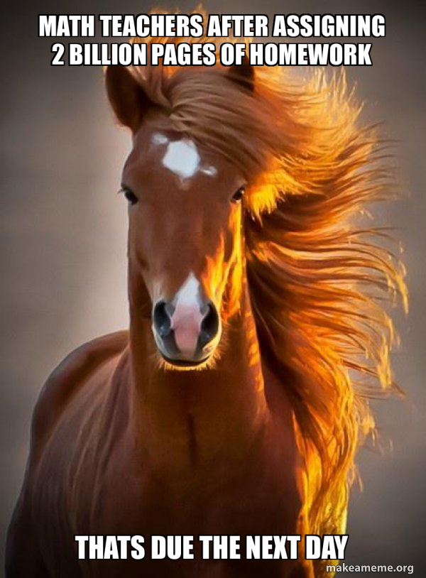 Ridiculously photogenic horse meme