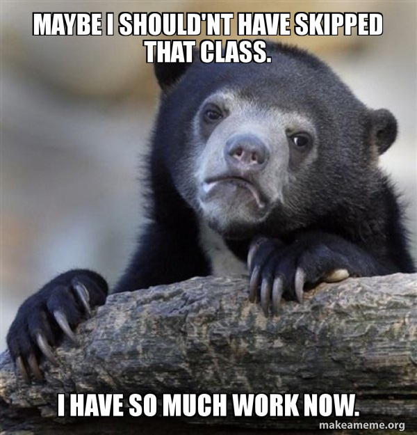 Confession Bear meme