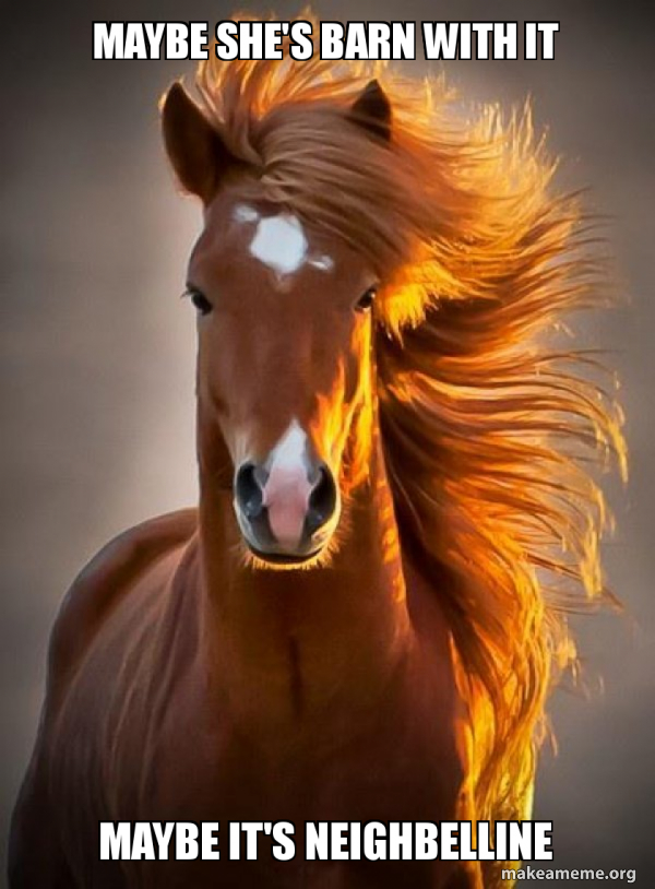 Ridiculously photogenic horse meme