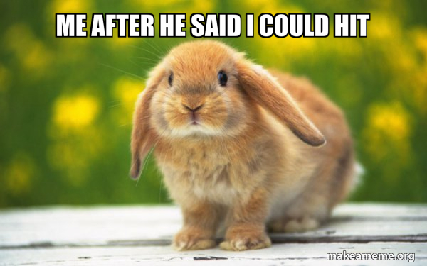 me after he said i could hit - Regretful Rabbit Meme Generator