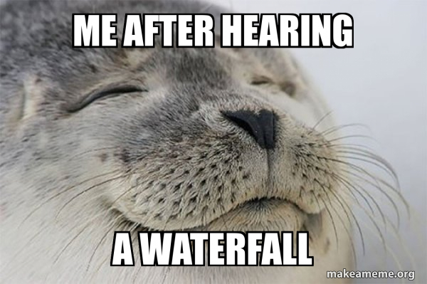 Satisfied Seal meme