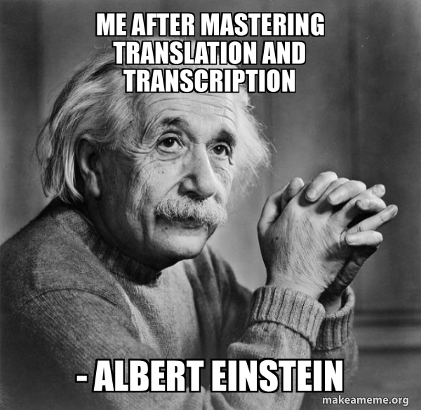 Serious Albert Einstein meme