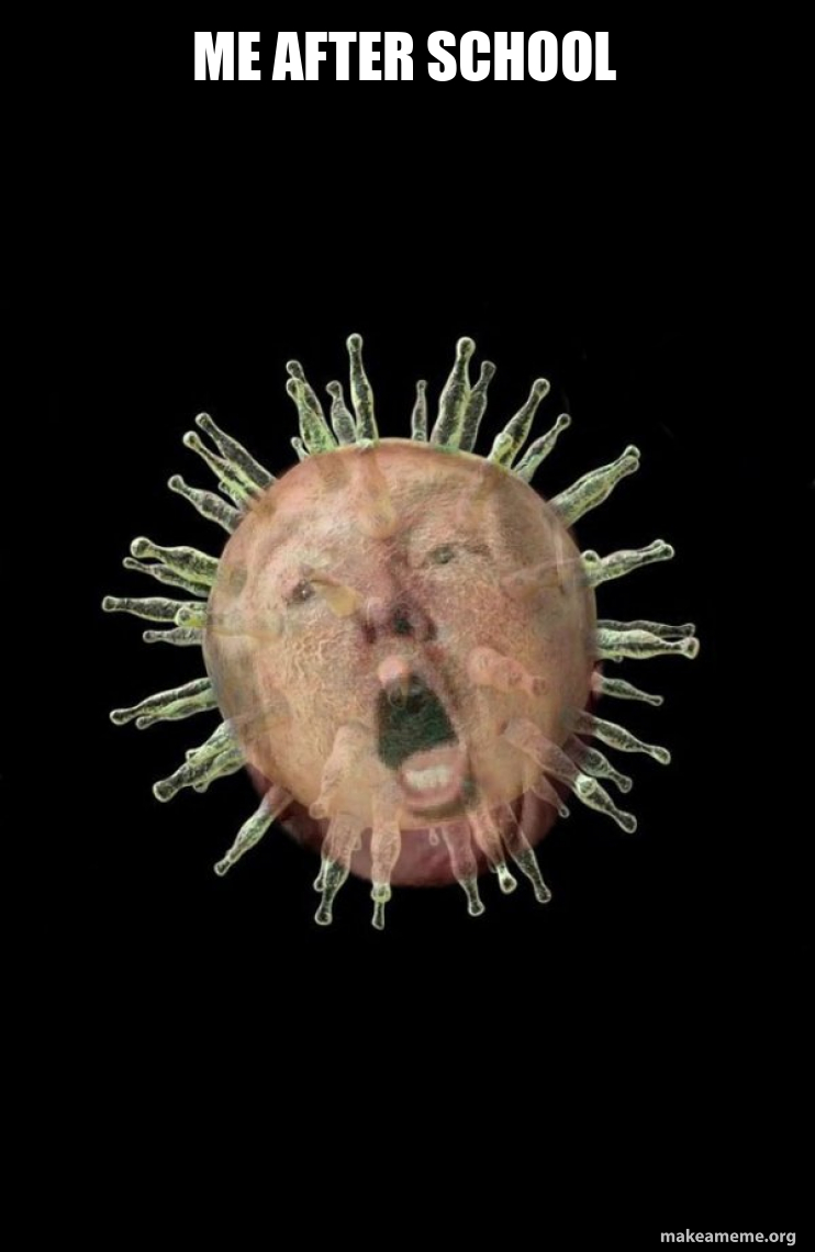 Trumpvirus TrumpPandemic meme